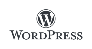 What Can You do with WordPress?