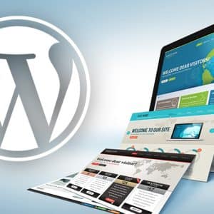 What is WordPress