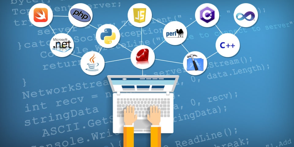 Website Development Considerations and Provider